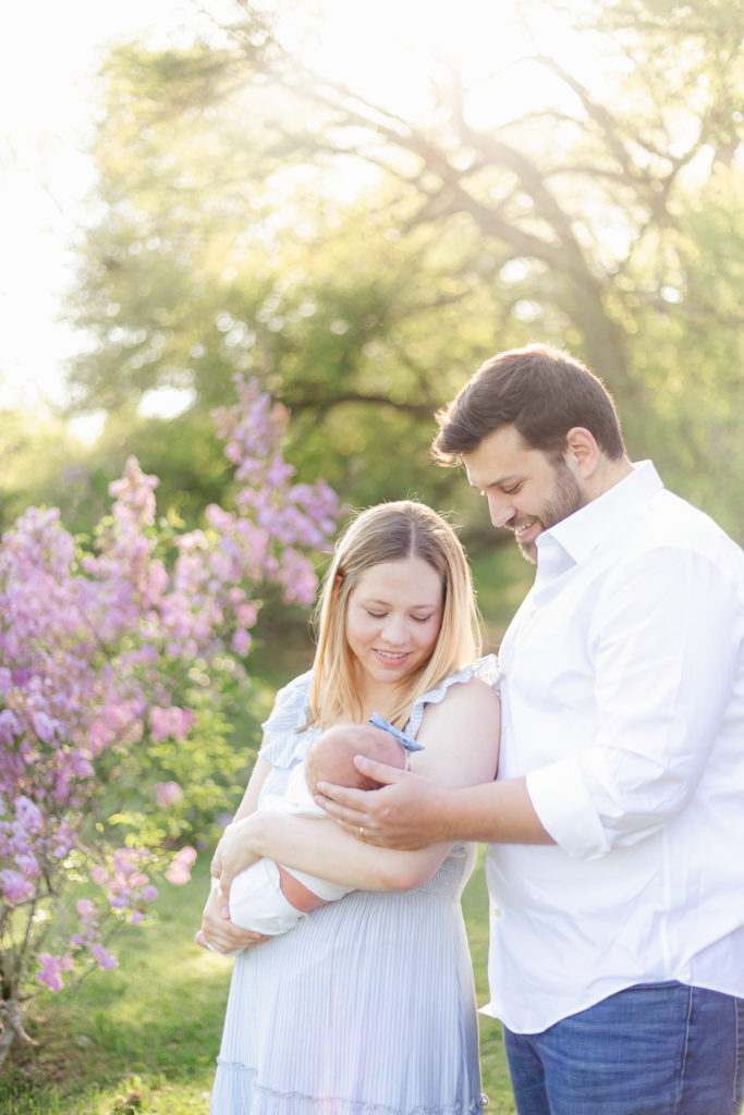 A Rochester NY newborn photography session amid the blooming lilacs.